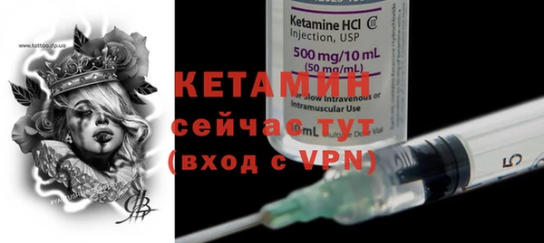 прущие грибы Вяземский