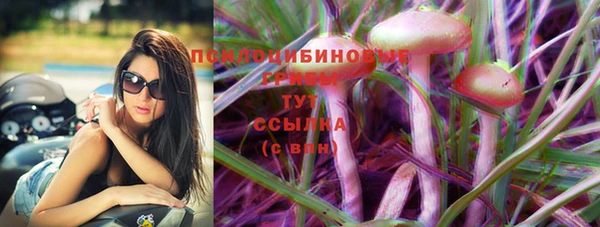 прущие грибы Вяземский