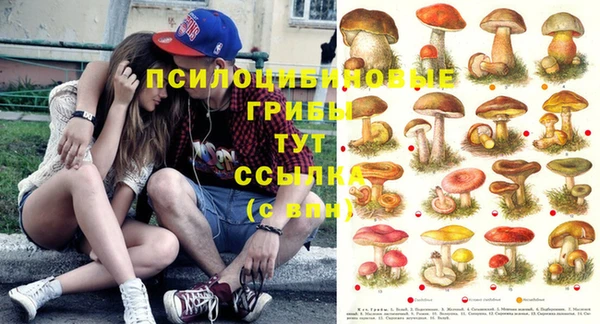 спиды Семилуки