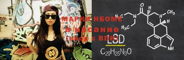 прущие грибы Вяземский